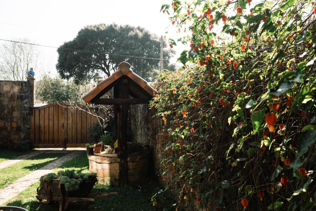 Apartamentos Y Posada El Cafetal Polanco Exteriér fotografie